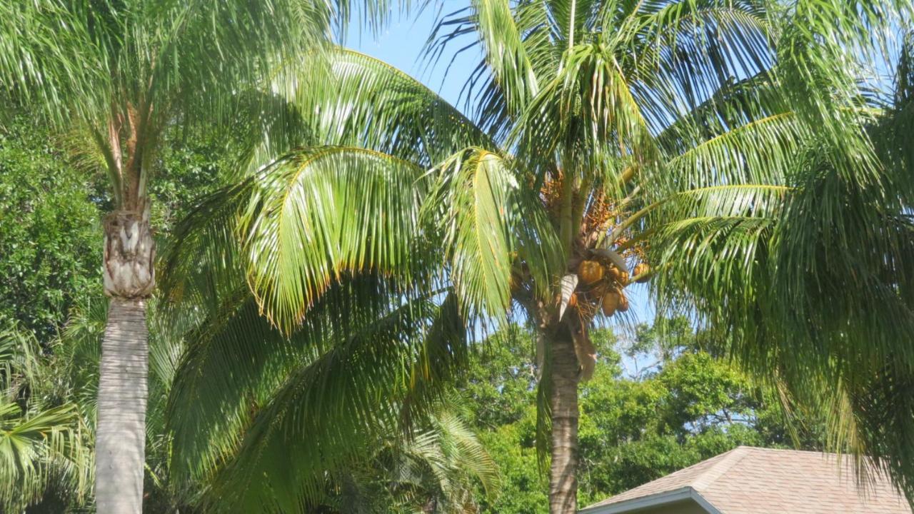 Luxury 3-Bedroom Home Near Beaches With Pool Vero Beach Bagian luar foto